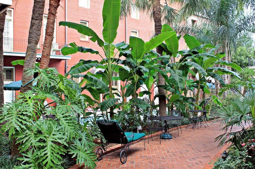 Chateau Orleans New Orleans Exterior photo